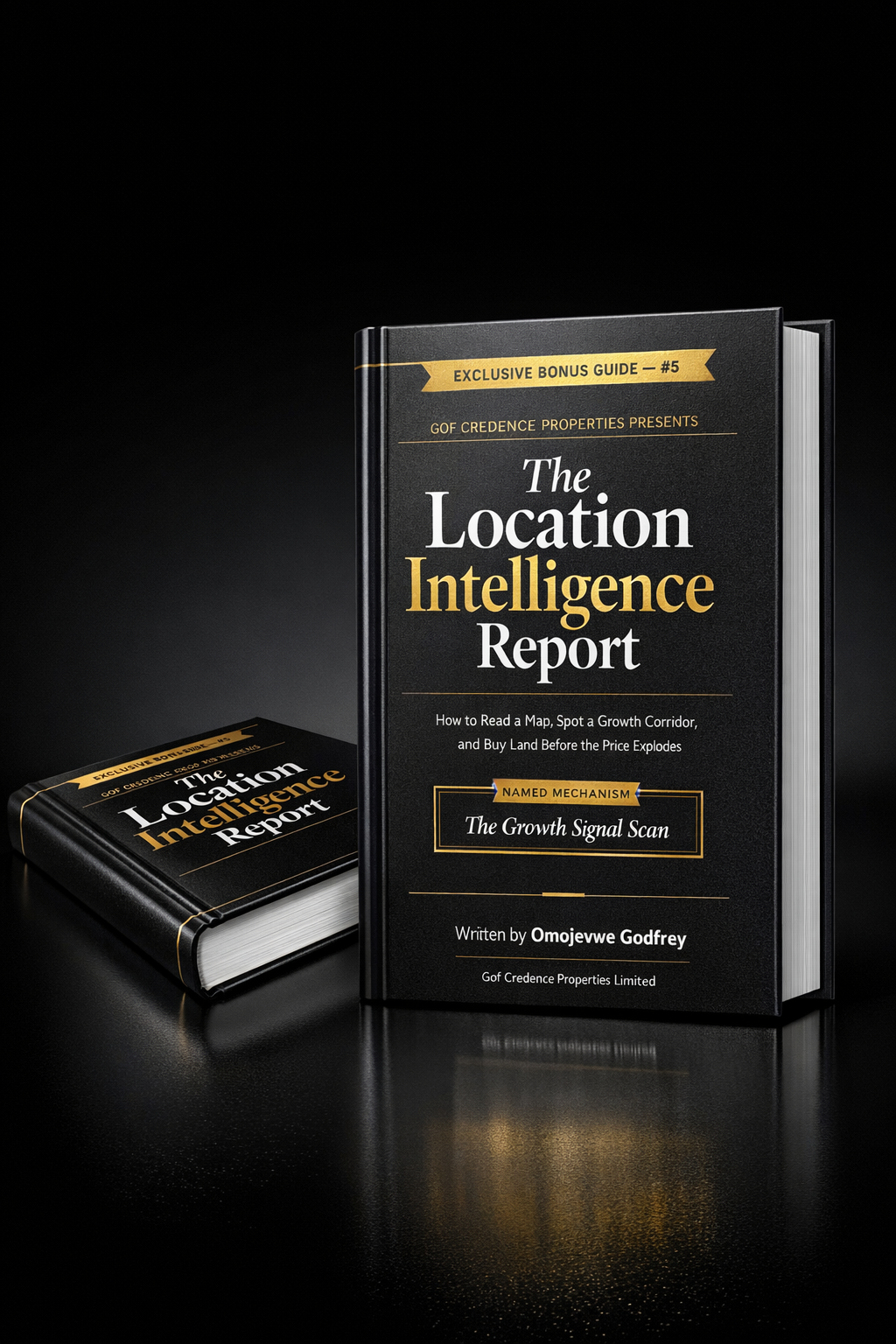 Bonus 2: The Location Intelligence Report